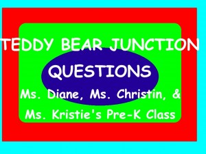 questions from Teddy Bear Junction
